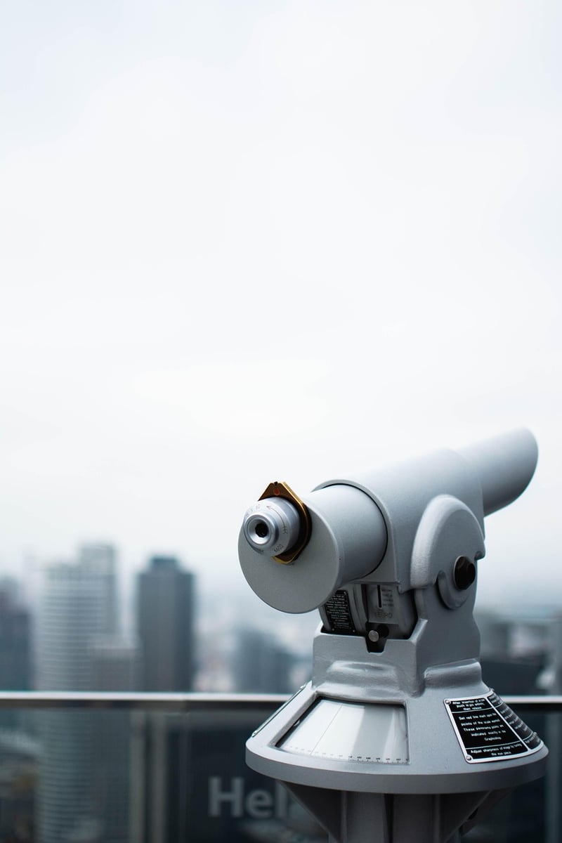 Cardboard Tube Binoculars